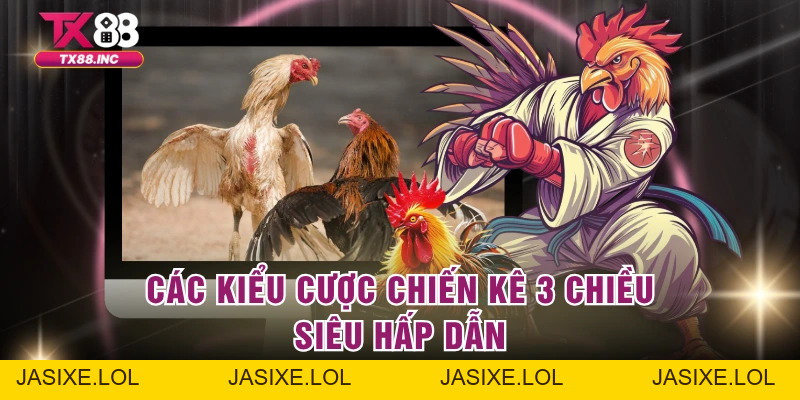 Đá Gà 3D – Trải Nghiệm Giải Trí Đỉnh Cao Tại Tổ Chức TX88 - jasixe