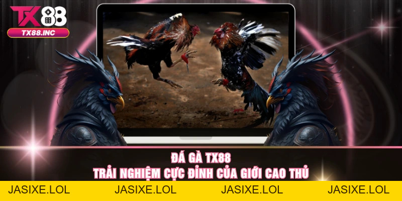 Đá Gà TX88 – Trải Nghiệm Cực Đỉnh Của Giới Cao Thủ - jasixe