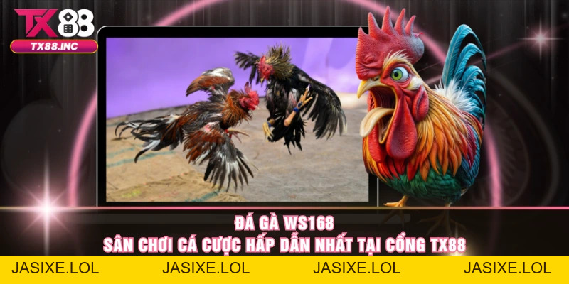 Đá Gà TX88 – Trải Nghiệm Cực Đỉnh Của Giới Cao Thủ - jasixe