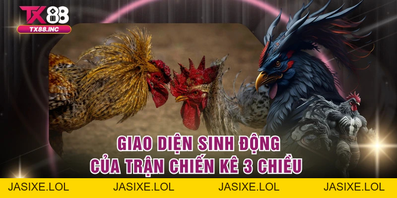 Đá Gà 3D – Trải Nghiệm Giải Trí Đỉnh Cao Tại Tổ Chức TX88 - jasixe