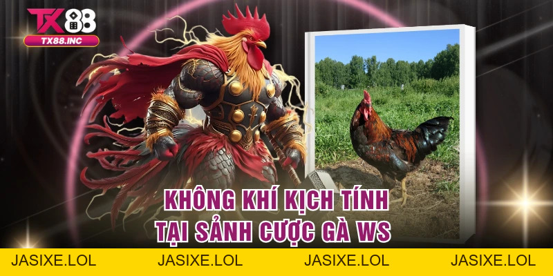 Đá Gà WS168 | Sân Chơi Cá Cược Hấp Dẫn Nhất Tại Cổng TX88 - jasixe