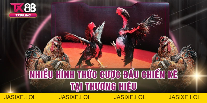 Đá Gà TX88 – Trải Nghiệm Cực Đỉnh Của Giới Cao Thủ - jasixe