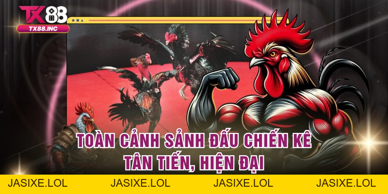 Đá Gà TX88 – Trải Nghiệm Cực Đỉnh Của Giới Cao Thủ - jasixe