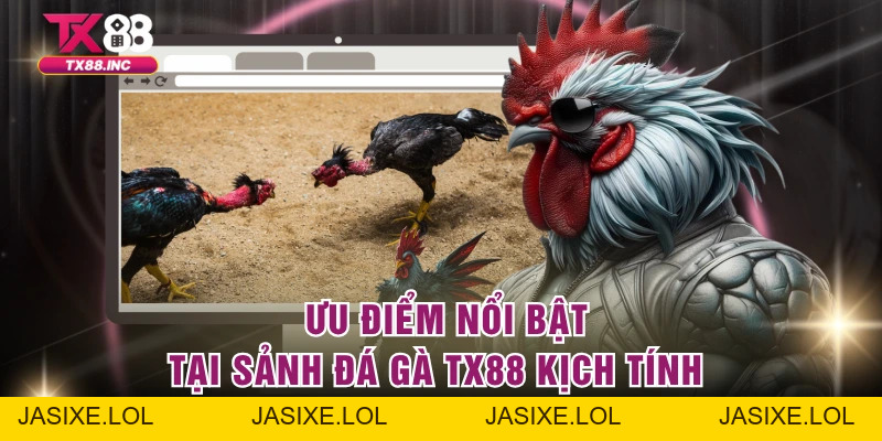 Đá Gà TX88 – Trải Nghiệm Cực Đỉnh Của Giới Cao Thủ - jasixe